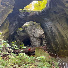 22-10-10 13-07-03 2642